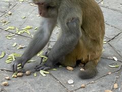 -黔灵山公园