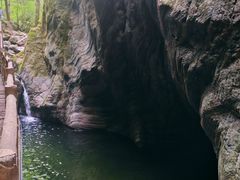 -牛背梁国家森林公园