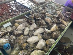 水产区-南沙十九涌渔人码头-南门