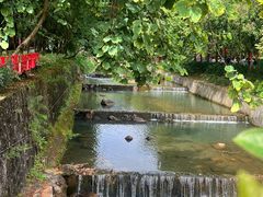 -广州白江湖森林公园