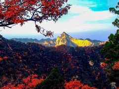 -少华山国家森林公园