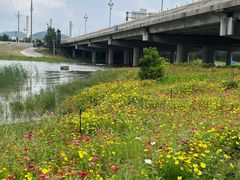 -门城湖公园