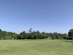 -瑶湖郊野森林公园