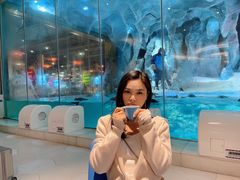 -帝企鹅自助餐厅•儿童岛•真企鹅(长隆企鹅酒店)