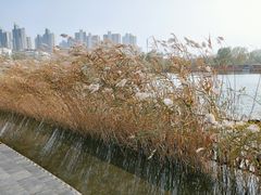 -南翠屏公园