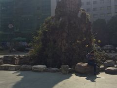 -中国科学院武汉物理与数学研究所核磁共振大楼