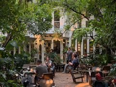 -Fern Forest Cafe