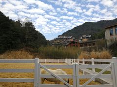 -宁海安岚·南溪阁全日餐厅