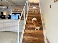 -小意思咖啡店(草桥店)