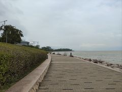 -深圳湾公园(南山区)
