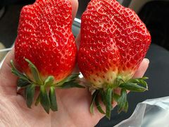 -东方鼎信农副产品交易中心