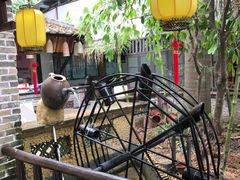 -园林美食城·本土农家菜(杨和镇店)