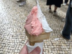 -柠檬车露(卖草地店)