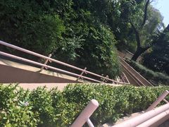 -九龙公园