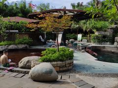 -雅安楠水阁温泉酒店