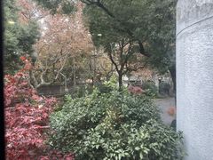 -申粤轩酒楼·三十年粤菜经典(丁香花园店)