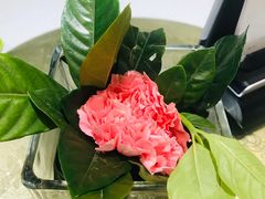 -眉州东坡(中关村店)