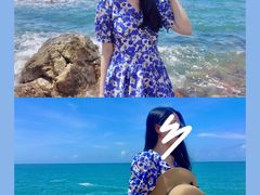 -广东惠东海龟国家级自然保护区