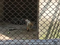 -合肥野生动物园