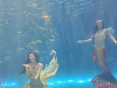 -华夏文旅海洋公园