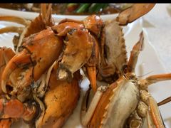 -莲花公园煎蟹(总店)
