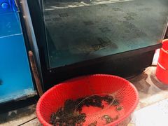 -五稻厨房粤西菜(新闻店)