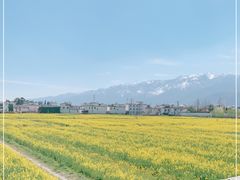 -喜林苑·稻田餐厅(品相府店)