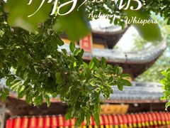 -龙华寺