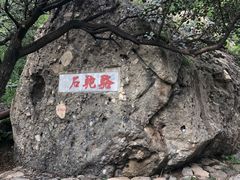 -阳台山自然风景区
