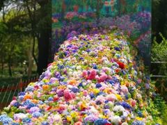 -上海共青森林公园