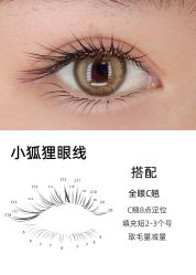 -丽尔美睫