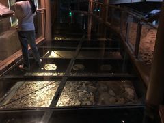 -元代水闸遗址博物馆