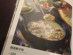 -百年果林椰子鸡(中洲店)