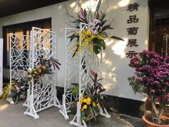 -汇龙潭