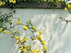 -木木鲜海鲜面(天一店)