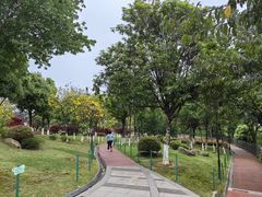 -铁山坪森林公园