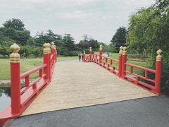 -东方绿舟景区