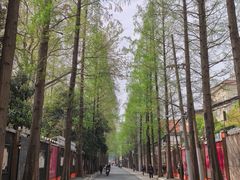 -万寿斋(山阴路店)