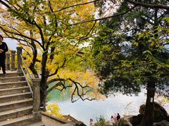 -蒋氏故居