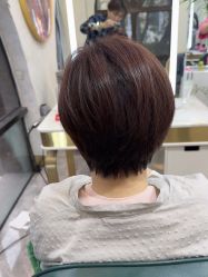 -秦·专注剪发