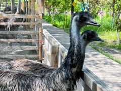 -水上乐园·欢乐世界