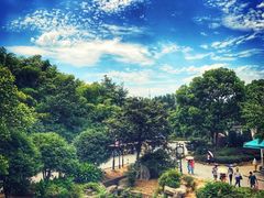 -旺山·浪头人家