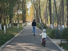-昆山城市生态森林公园