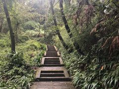 -窦圌山风景区