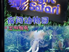 -夜间野生动物园