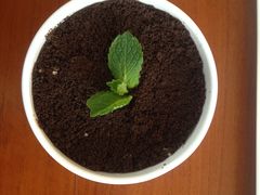 盆栽酸奶-院落创意菜