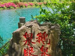 -靖西鹅泉风景区