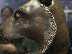 -广西壮族自治区博物馆