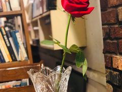 -斯多格书乡(北京大学畅春园店)