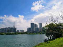 -金银湖国家城市湿地公园